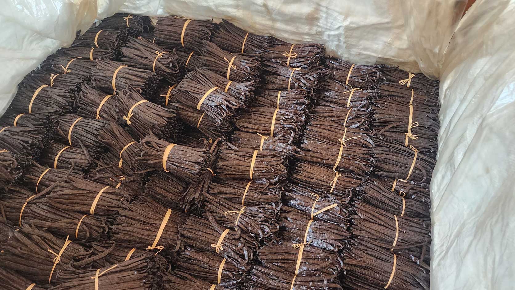 Vanilla Beans – Gourmet Grade A